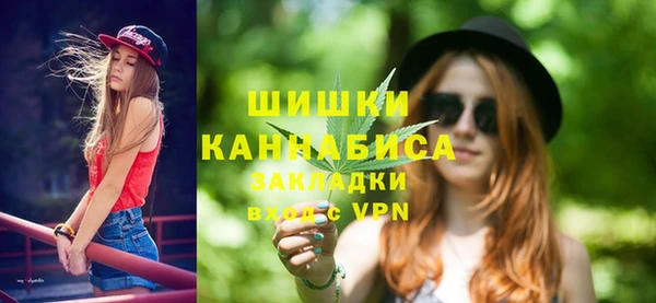 сатива Вяземский