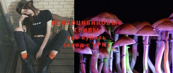 крисы Вязьма