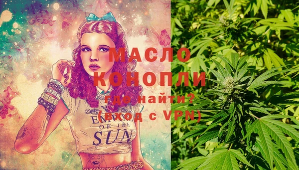 сатива Вяземский