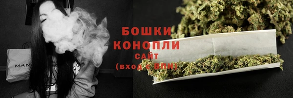 крисы Вязьма