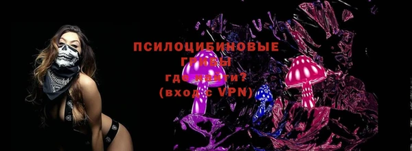 крисы Вязьма