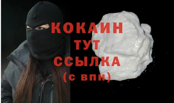крисы Вязьма