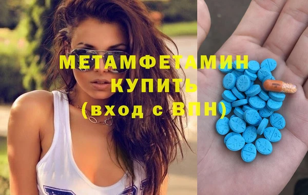 сатива Вяземский