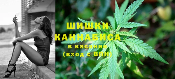 крисы Вязьма