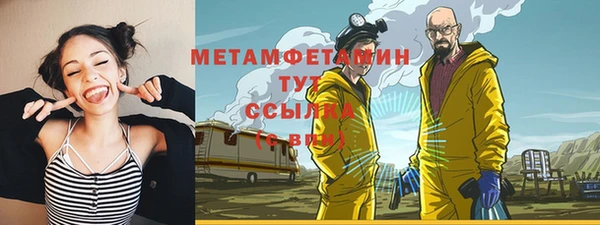 сатива Вяземский