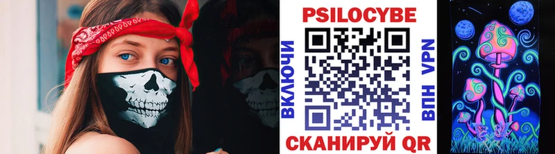 где продают наркотики Исилькуль Псилоцибиновые грибы Psilocybe